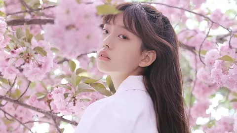 美墨加贸易博弈